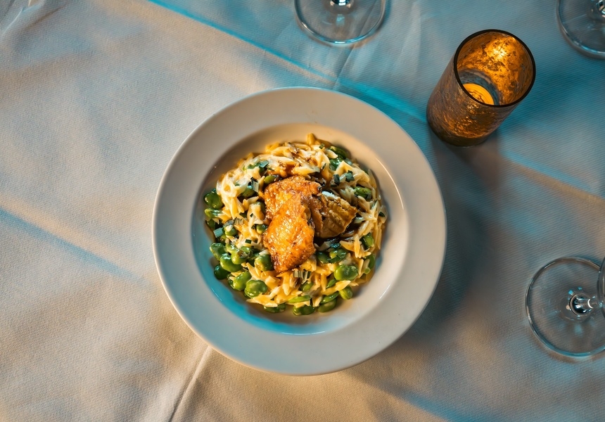 Dita at Islington Arts Club