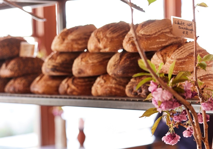 Photo: courtesy of Jolene