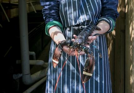 Photo: courtesy of Câr-y-Môr