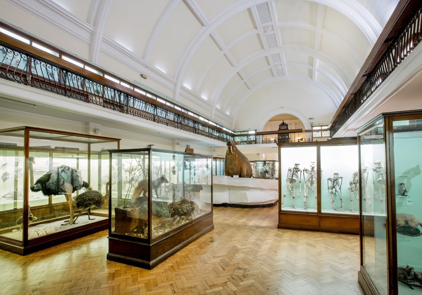 Horniman Museum